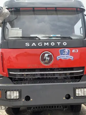Brand New Sagamoto Head E3