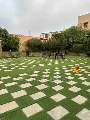 First Quality Artificial Grass Carpet