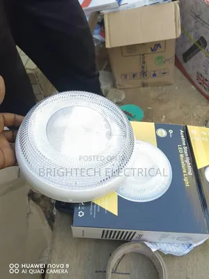 Electricity Ceiling Lights 100watts Warmwhite and White