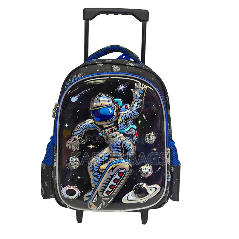 Stock Trolley School Bag