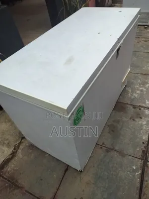 Deep Freezer 450L