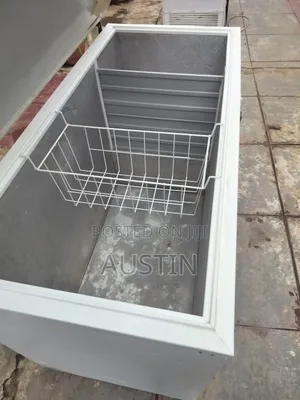 Deep Freezer 450L