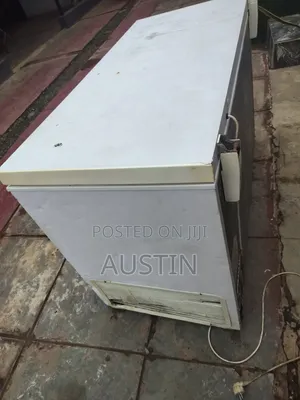 Deep Freezer 450L