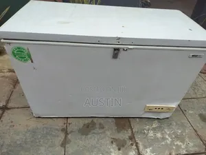 Deep Freezer 450L