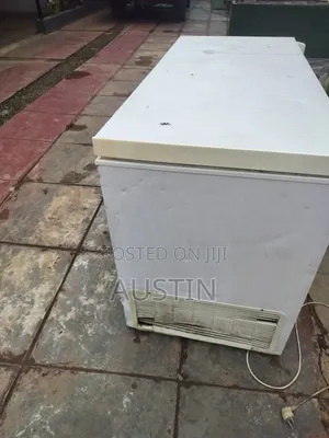 Deep Freezer 450L
