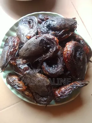 Dried Catfish