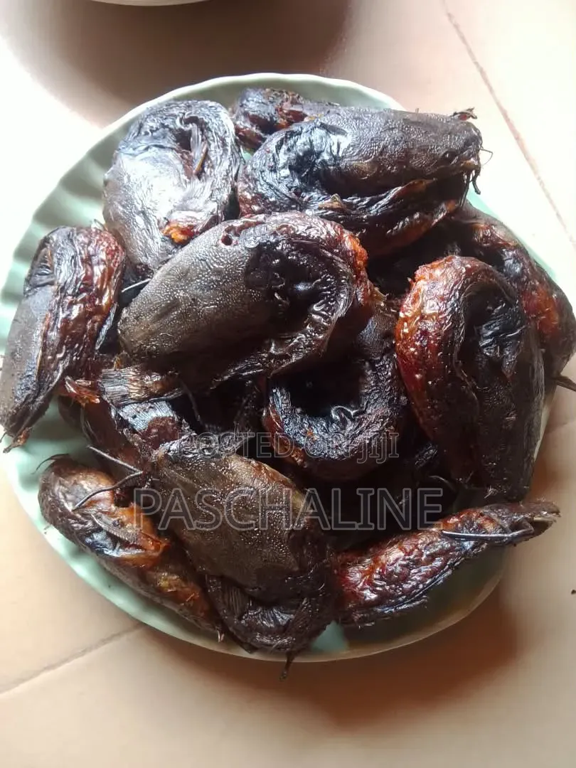 Dried Catfish