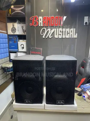 Black Spider 12 Inches Club Hanging Speakers