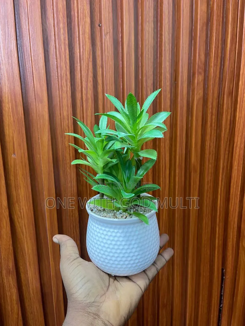 Decorative Flowers