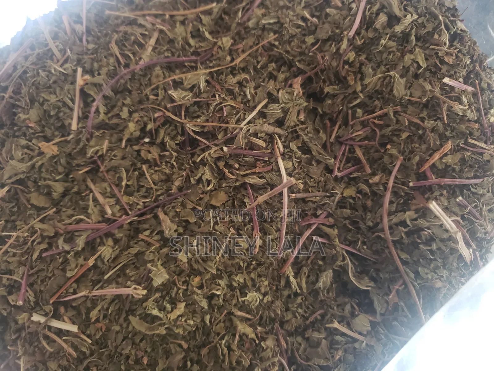 Spearmint Leaf Kg