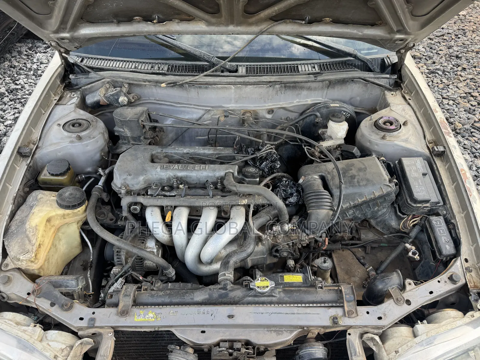 Toyota Corolla 2000 Gold