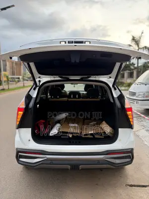 New Geely Boyue 2025 White