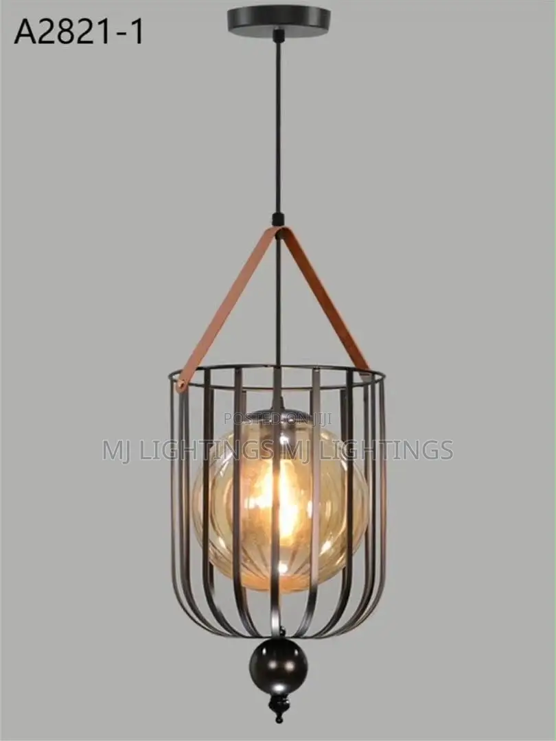 Modern LED Pendant Light Iron Hollow Metal Cage Pendant