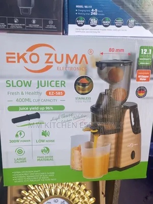 Slow Juicer Blender