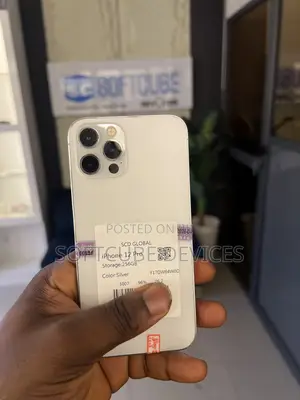 Apple iPhone 12 Pro 256 GB Silver