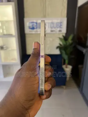Apple iPhone 12 Pro 256 GB Silver