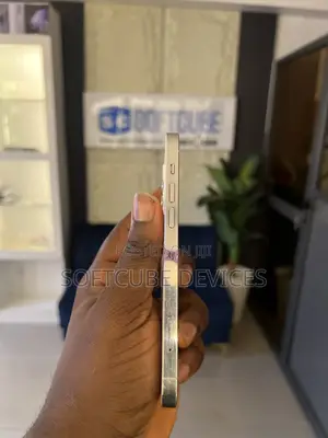 Apple iPhone 12 Pro 256 GB Silver