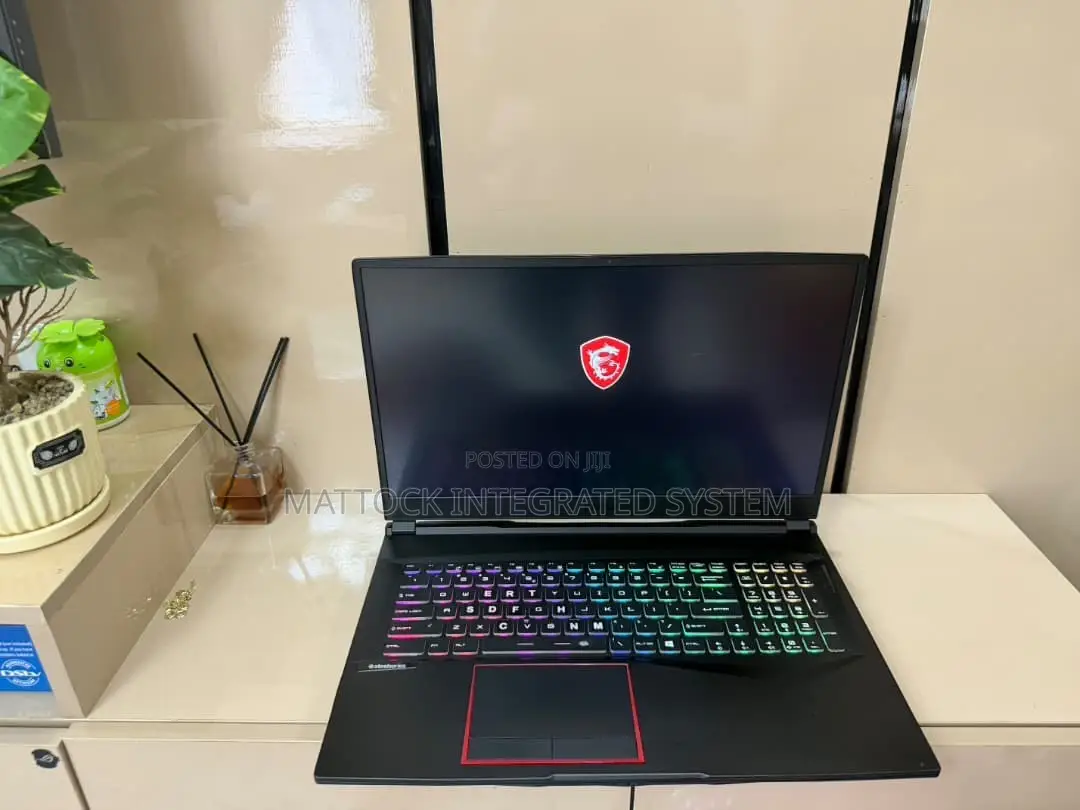 Laptop MSI GE75 Raider 10SE 16GB Intel Core i7 SSD 512GB