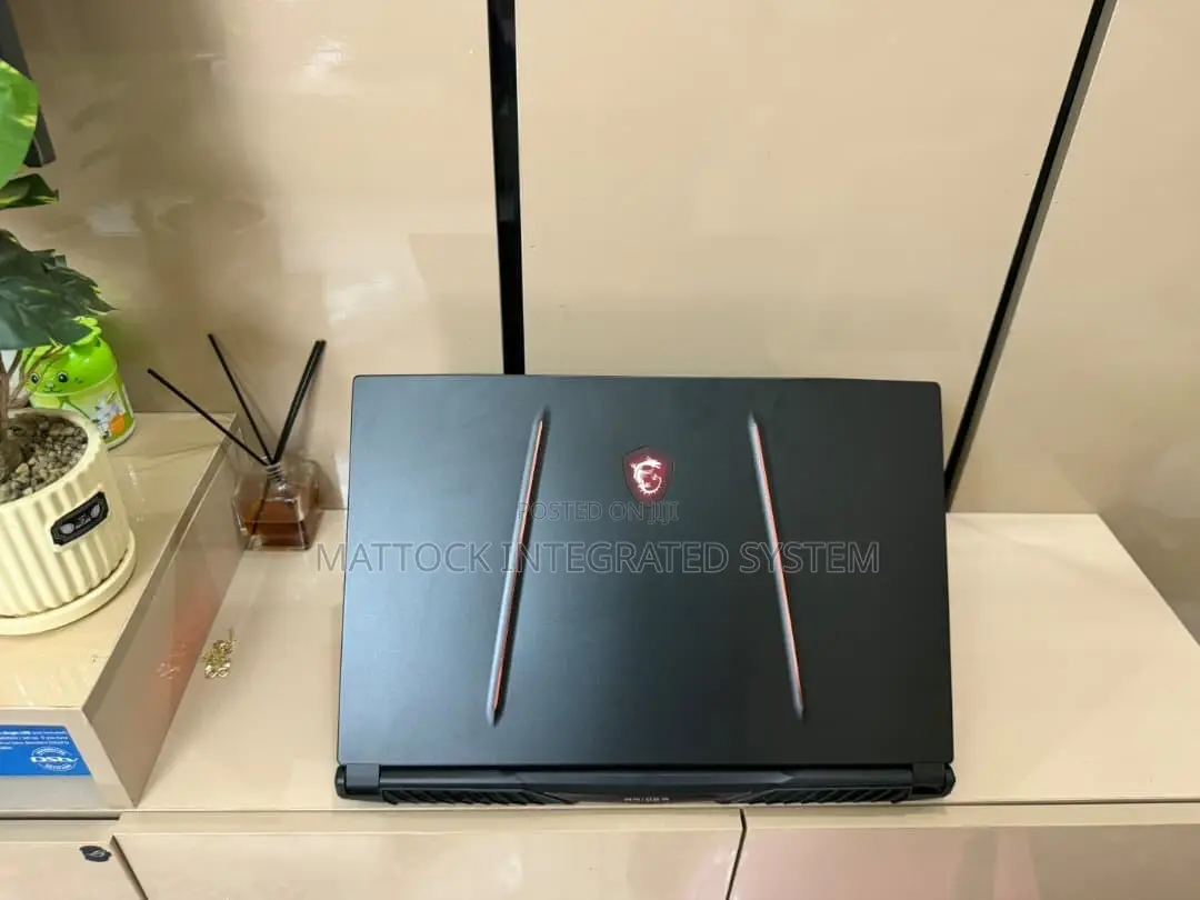Laptop MSI GE75 Raider 10SE 16GB Intel Core i7 SSD 512GB