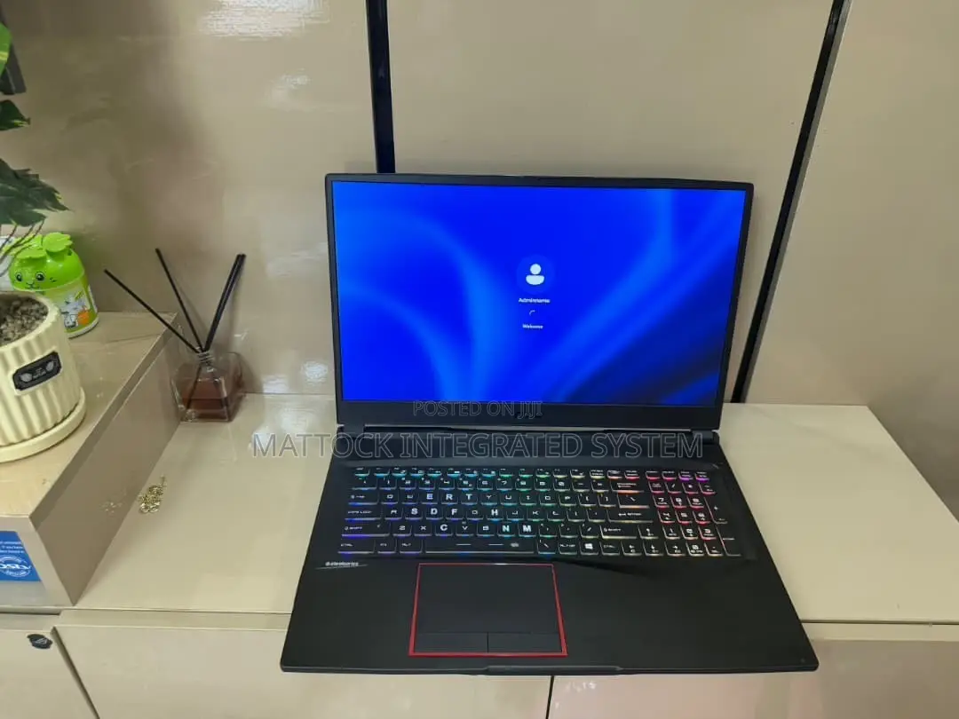 Laptop MSI GE75 Raider 10SE 16GB Intel Core i7 SSD 512GB