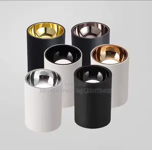 COB LED Downlight Ceiling Light Anti Glare Spotlight