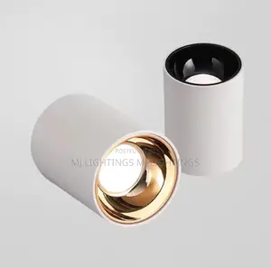 COB LED Downlight Ceiling Light Anti Glare Spotlight