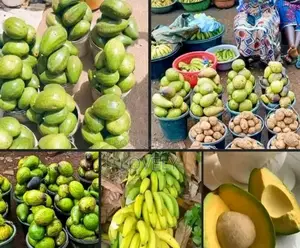 Farm Products Mazie Yam Bean's Banana Honey