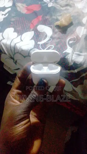 Apple Airpods 2 Replaceable Charging Case