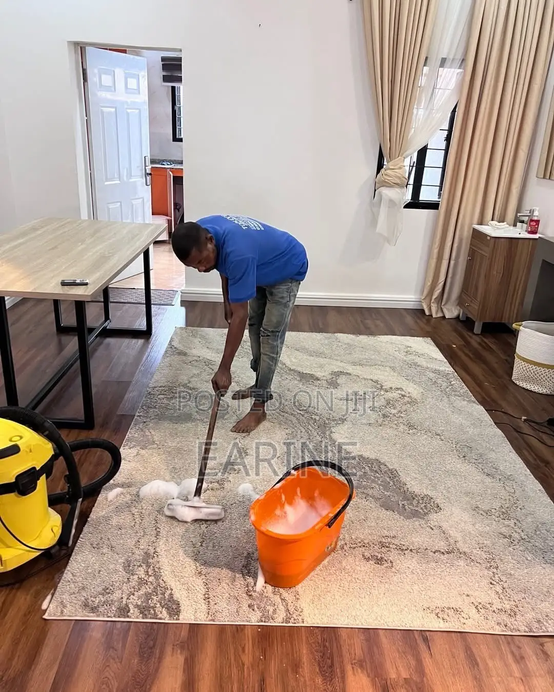 Professional Cleaning Services