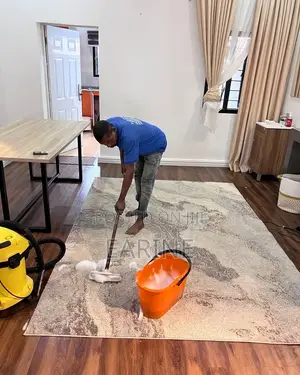 Professional Cleaning Services