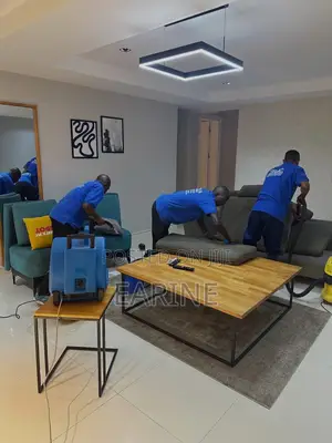 Paint Stain Removal