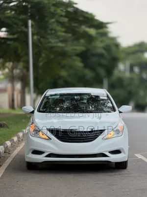 Hyundai Sonata 2010 White