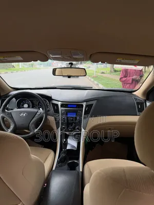 Hyundai Sonata 2010 White