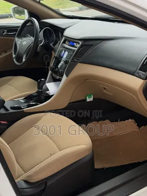 Hyundai Sonata 2010 White