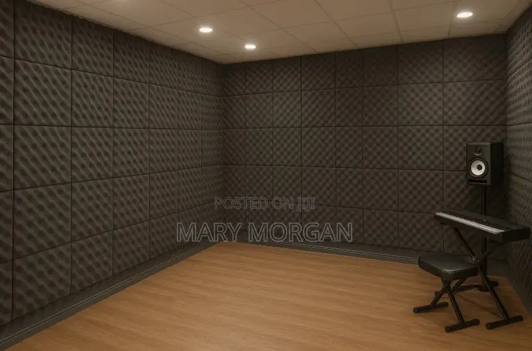 Interior Design. Wall Ceiling Studio Acoustic Panel, Wall Padding