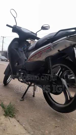Lifan 2024 Gray