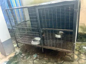 Dog Cage (Iron Cage)