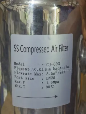 Ss Compressed Air Filter 1"