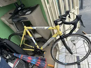 Sport Bicycle