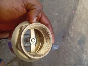 2" Check Valve (Non-Return Valve)