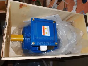 Electric Motor