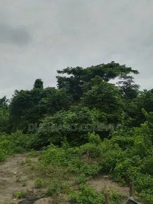 1,000 Square Metres Dry Land Close to Lekki Expressway