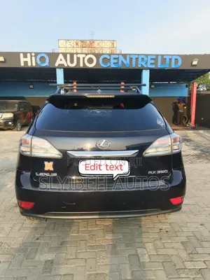 Lexus RX 2010 Black