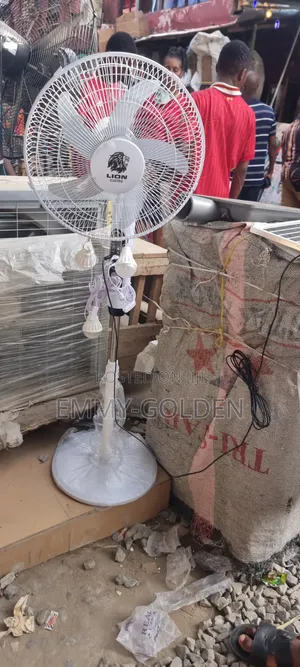 Lion Rechargeable Fan