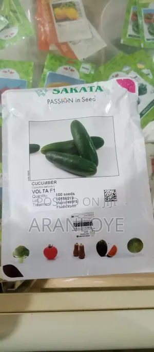 Versatile Cumcumber