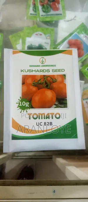 Kushard Seeds