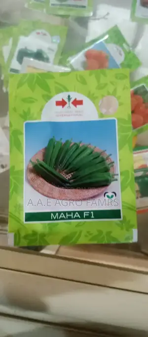 Green-Podded Hybrid Okra
