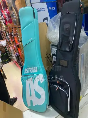 Bass Padded Bag