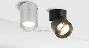 Surface Track Spot Light Available