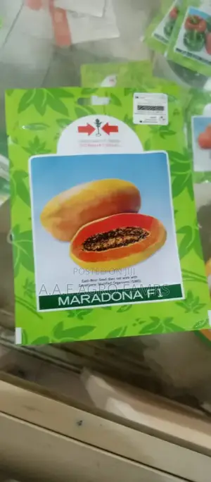 Hybrid Pawpaw